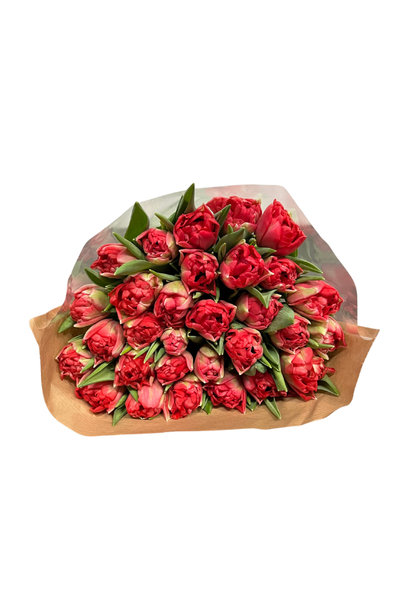 Dubbele roze tulpenbos - 30