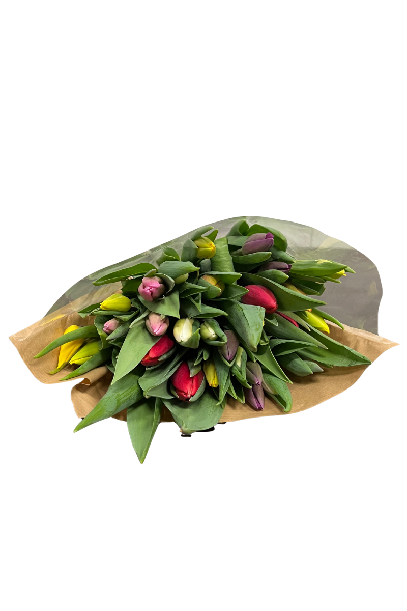Gemengd tulpenbos - 30