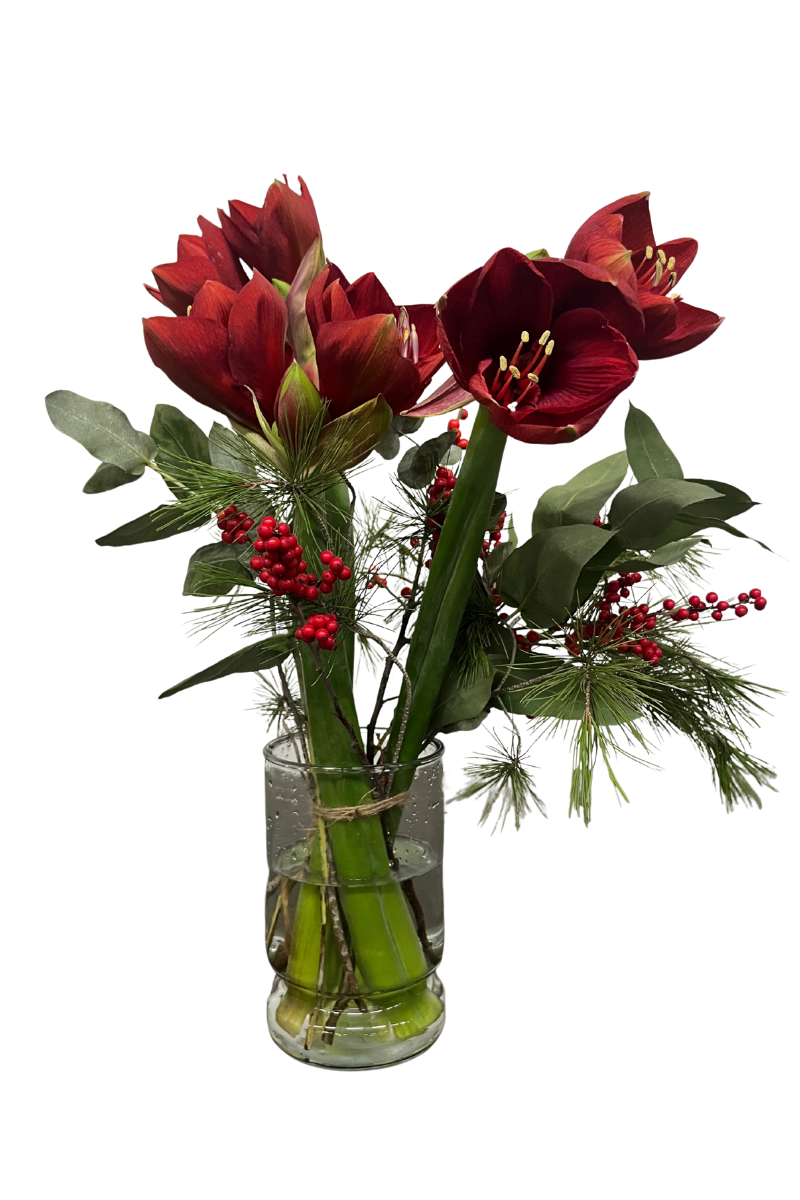 Amaryllis boeket Rood