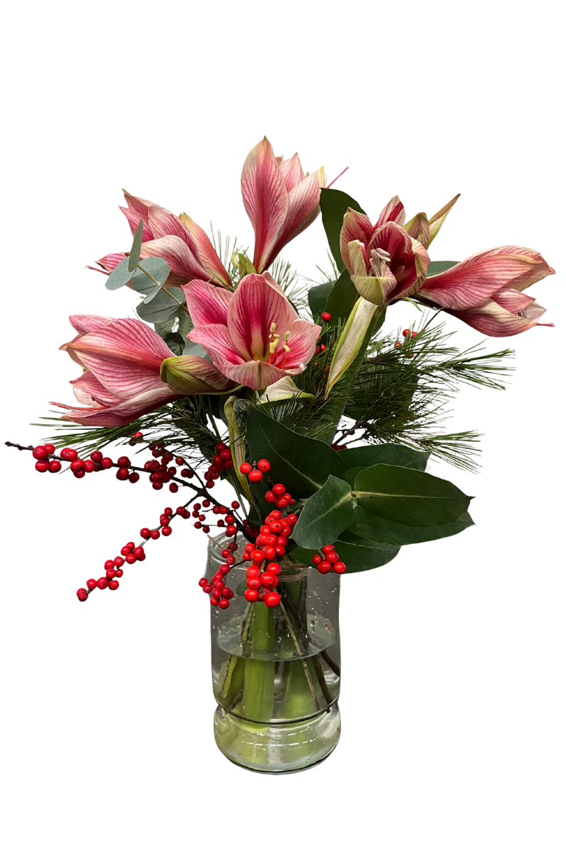 Amaryllis boeket Roze