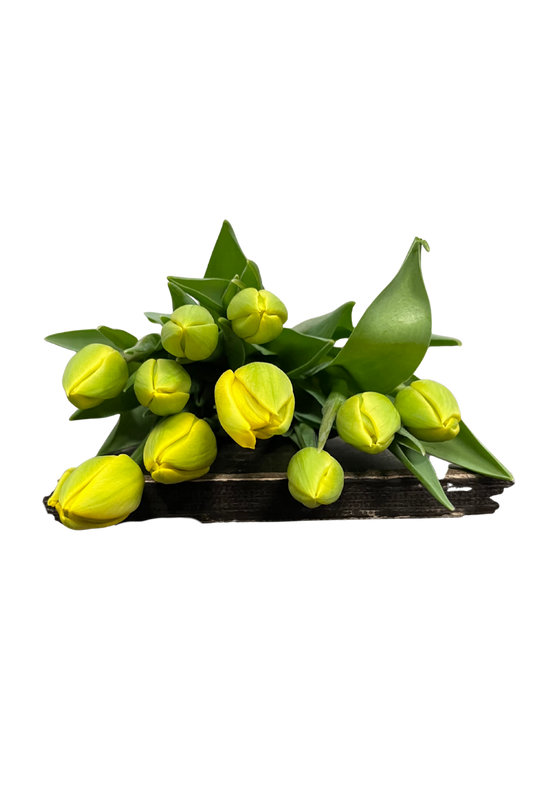 Dubbele gele tulpenbos