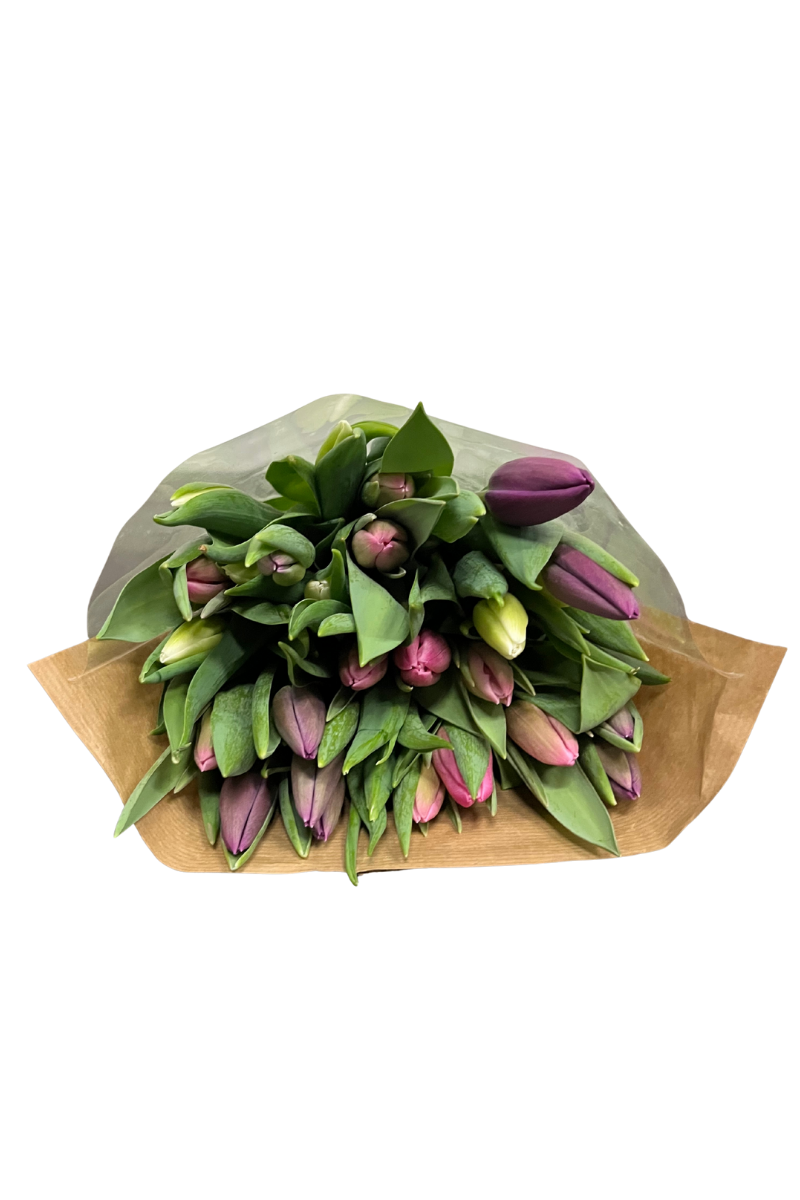 Pastel Tulpenbos