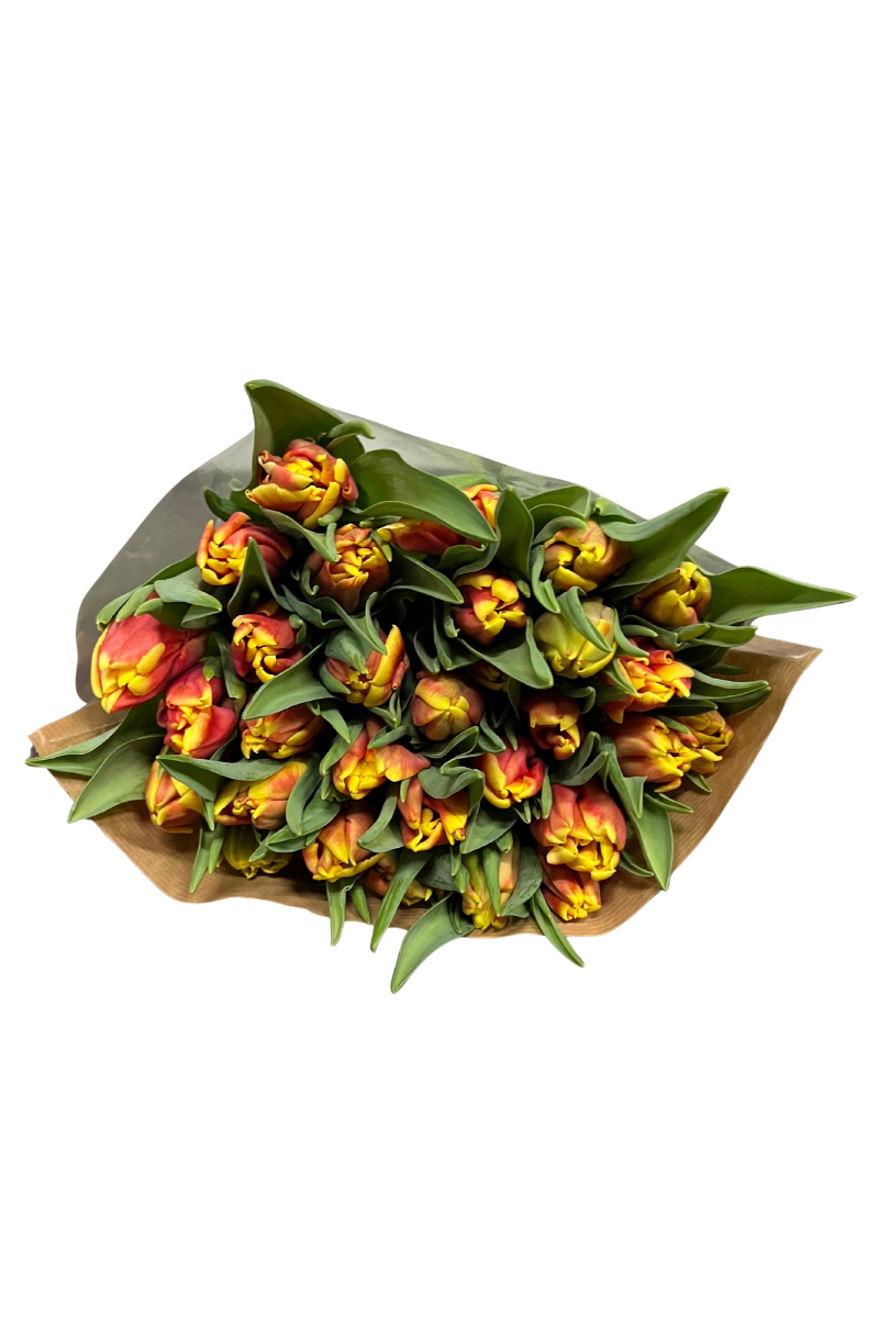 Parkiet rood/geel tulpenbos - 30