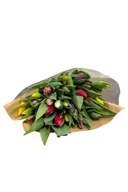 Gemengd tulpenbos - 30