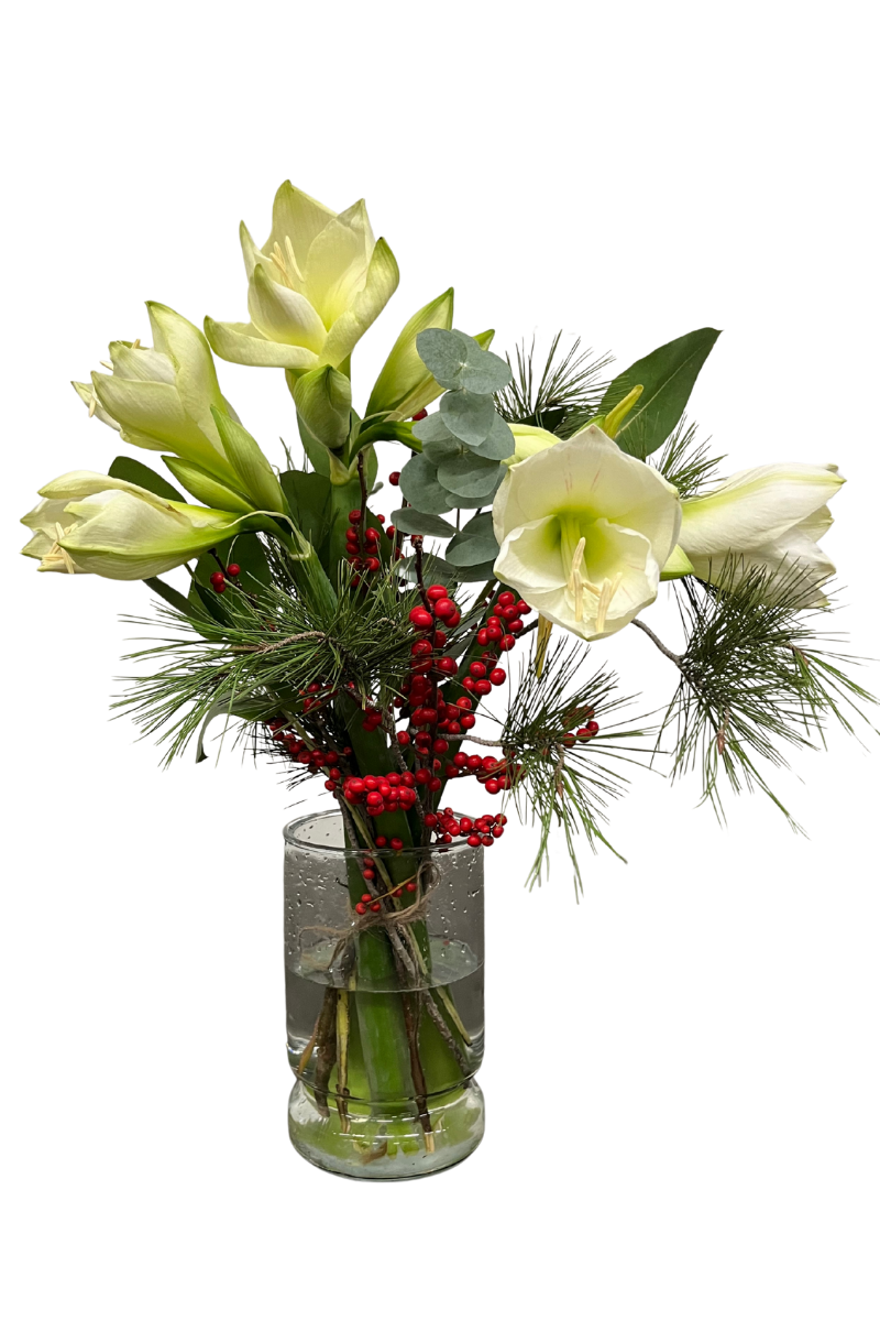 Amaryllis boeket Wit