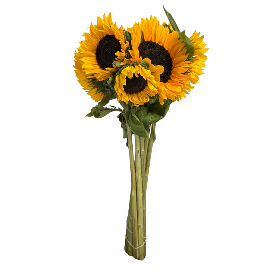 Zonnebloemen