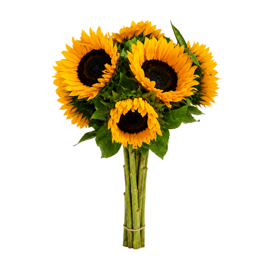 Zonnebloemen